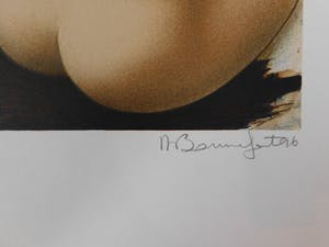 Alain Bonnefoit - Suite Nus: Cheveux Noirs kopen? Bied vanaf 25!