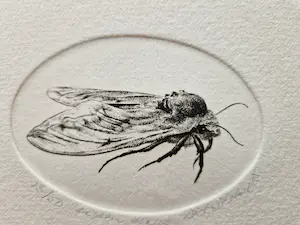 Dick Stolwijk - twee (2) fraai gedetailleerde - eigen druk - Etsen "insecten" - potloodgesigd kopen? Bied vanaf 36!