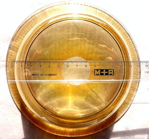 Curiosa - Erwin Eisch voor Glasblaserei Eisch Frauenau - goudkleurige schaal - gesigneerd kopen? Bied vanaf 1!