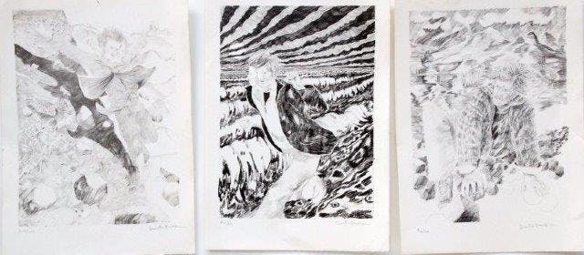 Dees De Bruyne - MAP 3 LITHOS verkocht voor € 40!