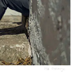 Mr Strange - Meneer Hooper en zijn hond kopen? Bied vanaf 85!