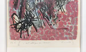 Corneille - Vol allègre des oiseaux, litho (mooi ingelijst) kopen? Bied vanaf 395!