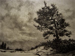 Dirk Harting - Meesterlijk Etser - Willink van Collenprijs 1913 - "Duinlandschap" gesigneerd kopen? Bied vanaf 10!