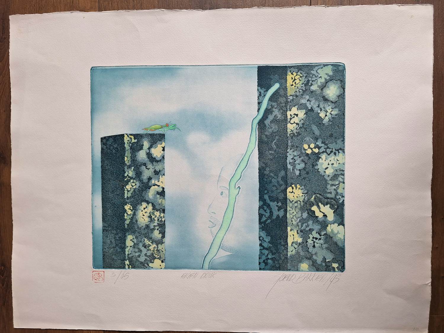 Sjoerd Bakker - Onbekend kopen? Bied vanaf 50!