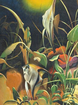 J.B. Palsen - Olieverf op doek , Tropische vissen in aquarium - ingelijst – ca 1960 kopen? Bied vanaf 50!