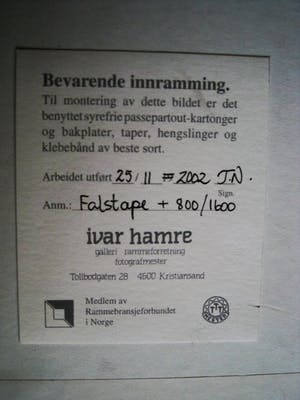 Niet of onleesbaar gesigneerd - Noorwegen - Galleri Ivar Hamre - Litho (30 stuks)"di Blae Fjella" gesigneerd kopen? Bied vanaf 1!