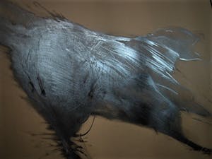 Dick Goudriaan - Groot en Krachtig Houtskool op papier "Wilde Hond" gesigneerd kopen? Bied vanaf 1!