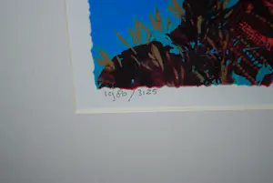 Espen Hagen - Indiaan - mooi ingelijste zeefdruk kopen? Bied vanaf 70!