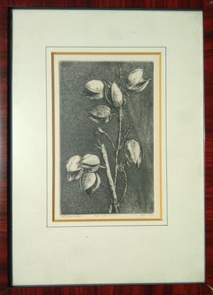 Niet of onleesbaar gesigneerd - Zaadhoezen Ets Aquatint 1977 kopen? Bied vanaf 10!