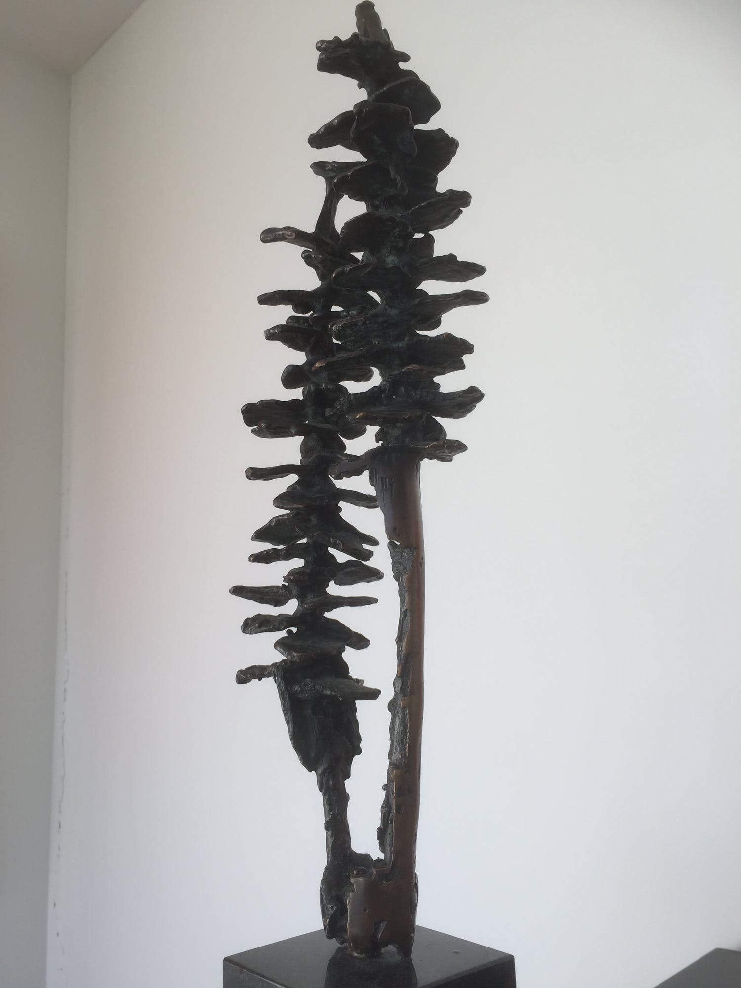 Ina Snoeijing (1954)