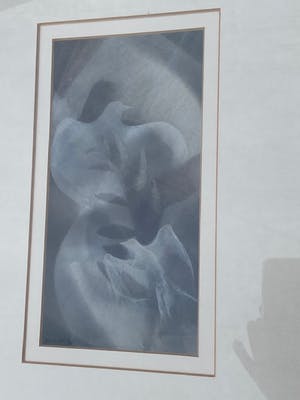 Jan de Kok - Titel onbekend (twee duiven) kopen? Bied vanaf 30!