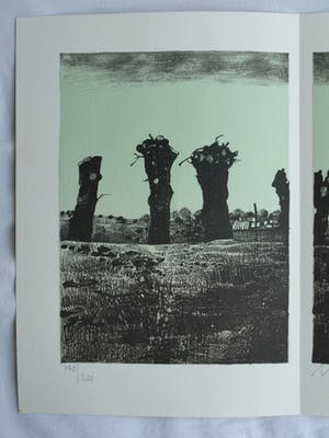 Nicolaas Wijnberg - Litho , Bomen – bijlage tijdschrift Petit No 2 - 1979 kopen? Bied vanaf 35!