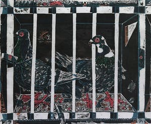 Toon Wegner - Duiven kopen? Bied vanaf 85!