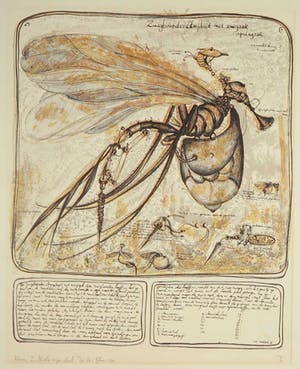 Joseph Cals - en Rene Glaser, Lot van twee litho's, Hommage aan Graham Sutherland + Z.T. kopen? Bied vanaf 1!