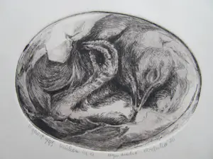 Ton Diekstra - Kuiken in ei kopen? Bied vanaf 55!