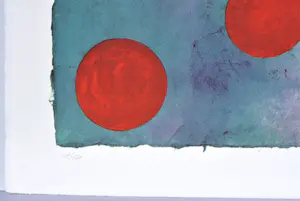 Jan Vanriet - Zeefdruk - 80x60 cm - Gesigneerd - n° 1/130 kopen? Bied vanaf 65!