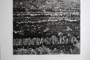 Jose Calsina - Het weiland kopen? Bied vanaf 50!