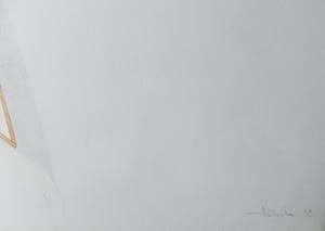 Ernst Hanke - uil/vlieger kopen? Bied vanaf 25!