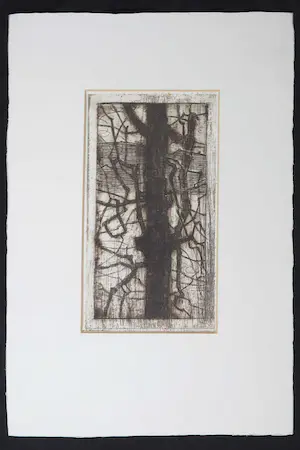 Wim Steijn - Ets, Boom kopen? Bied vanaf 1!