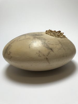 Helen Kolijn - Geen titel kopen? Bied vanaf 25!