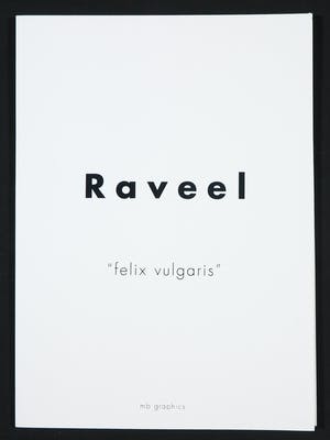 Roger Raveel - Suite van zes zeefdrukken, Felix Vulgaris kopen? Bied vanaf 1600!