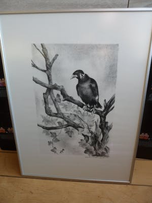 Aart van Dobbenburgh - Litho. Beo. Hand gesigneerd. 1982. kaufen? Bieten Sie von 35!