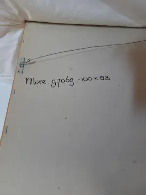 Marijn Moree - Zeefdruk "Noisy Family" kopen? Bied vanaf 225!