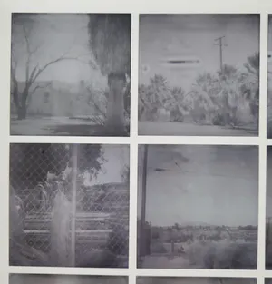 Stefanie Schneider - OASIS (Sidewinder), signiert und 1/25 nummeriert kopen? Bied vanaf 380!