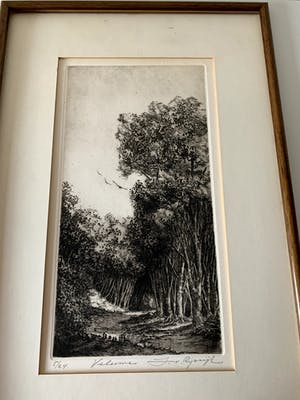 Jan van Rijsewijk - "Veluwe" kopen? Bied vanaf 35!