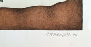 Ana Godel - Litho, Cahiers de Botanique kopen? Bied vanaf 25!