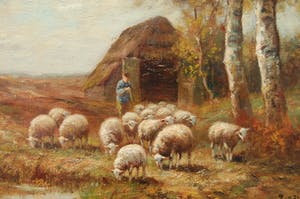 Piet Bouter - herder met schapen kopen? Bied vanaf 300!