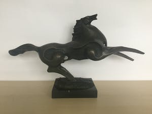 Brons (Onbekend) - Paard kopen? Bied vanaf 60!
