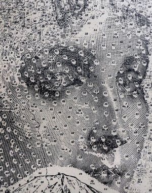 Harald Vlugt - Rattle Snake kopen? Bied vanaf 45!