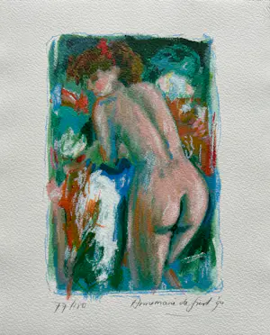 Annemarie de Groot - Cassette 4 verschillende zeefdrukken - Naakt in de tuin kopen? Bied vanaf 50!