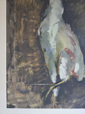 Jan Tullemans - Haan. kopen? Bied vanaf 79!