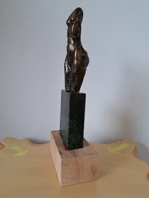 Harry Storms - naakte torso kopen? Bied vanaf 99!