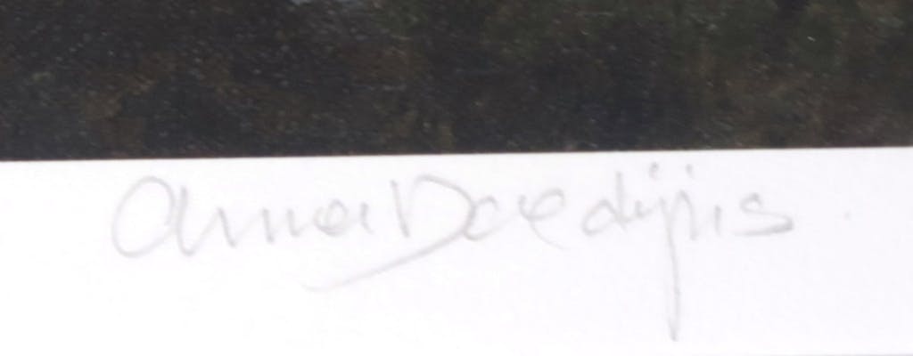 Anna Doedijns - Anna Doedijns: Giclee, Rotterdam Sunset  kopen? Bied vanaf 1!