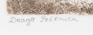 Drago Pecenica - Ets, Zonder titel - Ingelijst kopen? Bied vanaf 35!