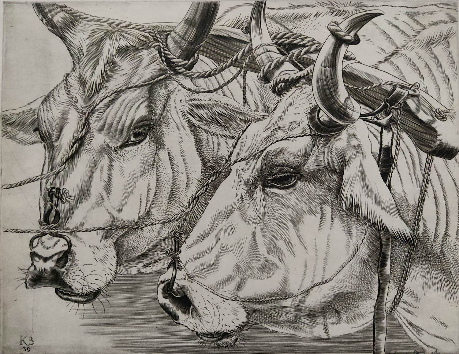 Kuno Brinks - Ossekoppen kopen? Bied vanaf 85!