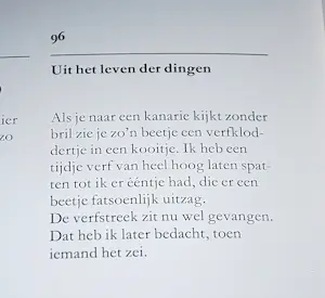 Jeroen Henneman - Uit het leven der dingen: een kanarie - zeefdruk - mooi ingelijst kopen? Bied vanaf 150!