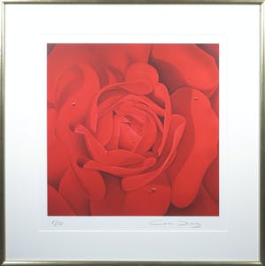 Caroline Dechamby - Zeefdruk, Rode roos: de kracht - Ingelijst kopen? Bied vanaf 20!