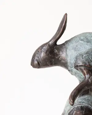 Yvonne Visser - Haasje Over kopen? Bied vanaf 700!