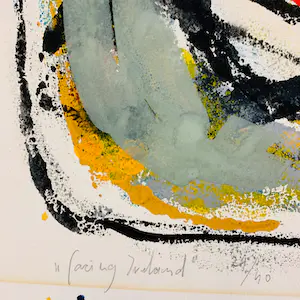 Jeroen Olthof - (Facing) Ireland kopen? Bied vanaf 30!