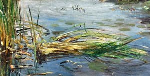 Willem Roelofs (jr.) - Gezicht op water met riet kopen? Bied vanaf 400!