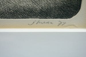 Niet of onleesbaar gesigneerd - Dierentuin kopen? Bied vanaf 1!