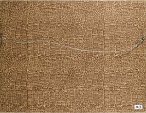 Jan Stapper - Olieverf op board, Bosweg kopen? Bied vanaf 50!