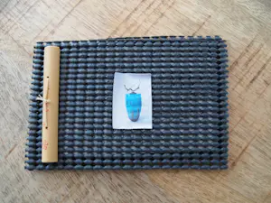 Anke van der Kwaak - Raku aarde lucht en vuur kopen? Bied vanaf 75!