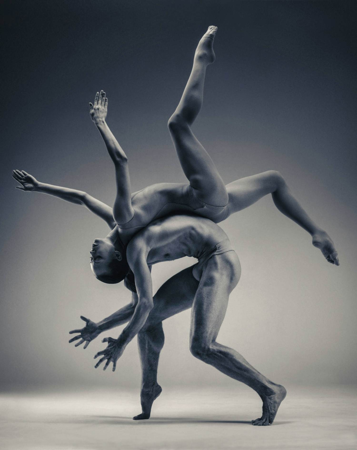 Vadim Stein - 'Octopean' (2013) kopen? Bied vanaf 110!