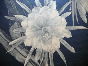 Dora Struick du Moulin - Witte cactus -litho circa 1920- kopen? Bied vanaf 35!