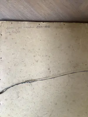 Cornelis Jan Mension - Drie jonge vosjes kopen? Bied vanaf 75!